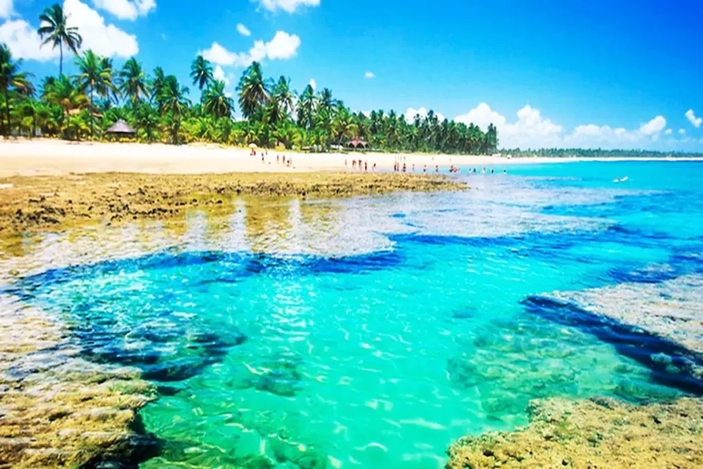 Praia Barra Grande Peninsula de Marau 5